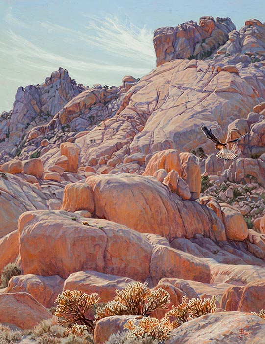 Kestrel's Kingdom, Mojave National Preserve , California